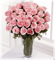 3 Dz  Long Stem Pink Roses Arrangement