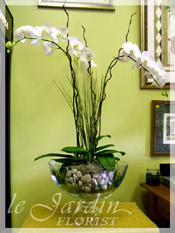 Floral Arrangements